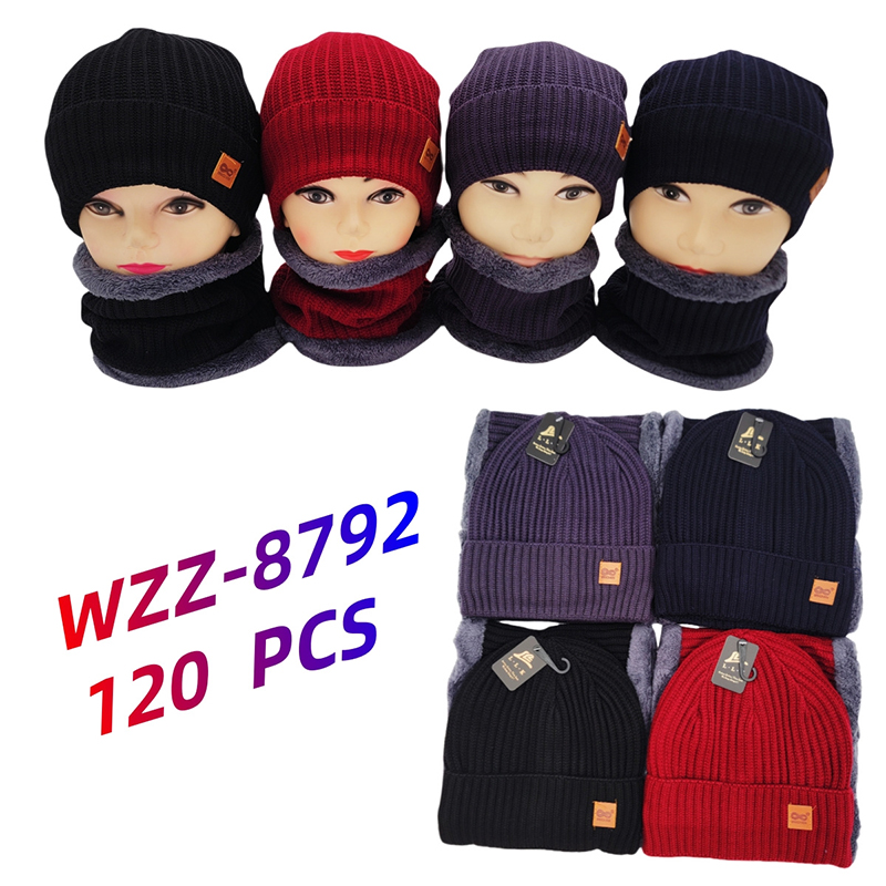 WZZ-8792 CS120